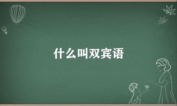 什么叫双宾语