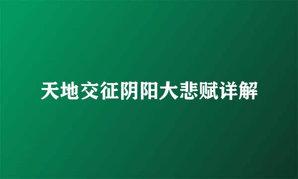 天地交征阴阳大悲赋详解