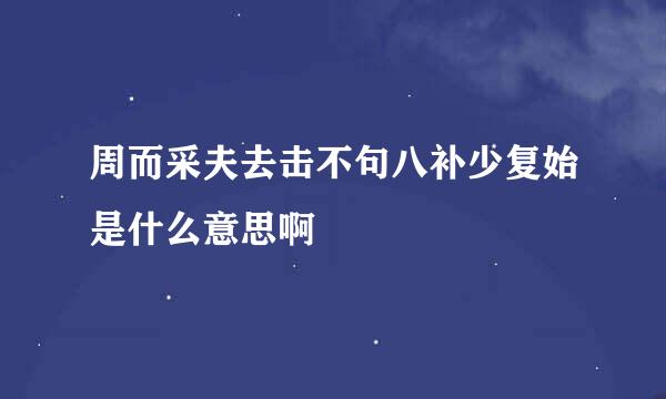 周而采夫去击不句八补少复始是什么意思啊