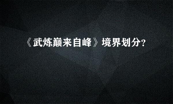 《武炼巅来自峰》境界划分？