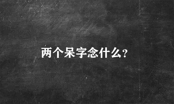 两个呆字念什么？