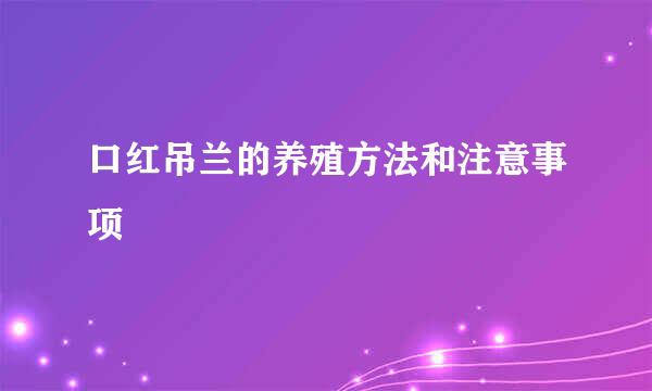 口红吊兰的养殖方法和注意事项