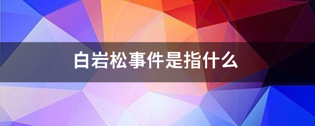 白岩松事件是指什么