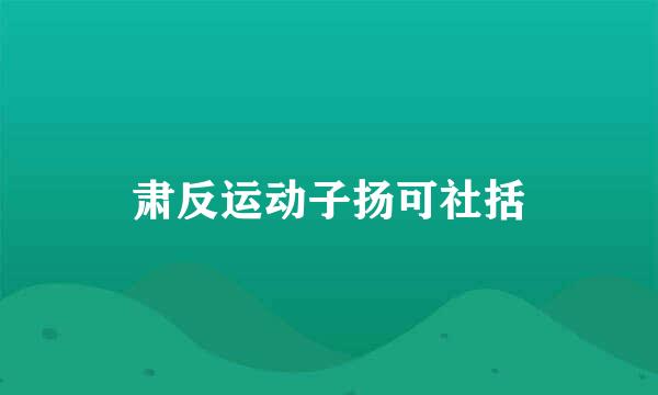 肃反运动子扬可社括