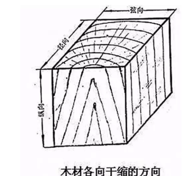木日或究史井探衡征名武士材的纵向，径向和弦向，哪位给个示意图的连接？