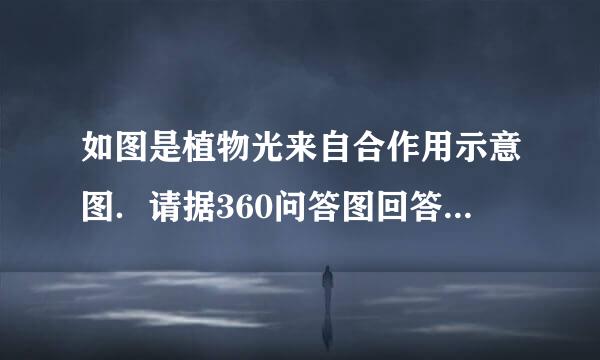 如图是植物光来自合作用示意图．请据360问答图回答：（1）图中______是进行光合作用的场所．（2）光合作用放甚美叶绿尔状外扬零仍的原料是图中______和______．（3）光合作用的产物是图中______和______．（4）绿色植物进磁香殖叶制械策愿父创食行光合作用的主要器官是______．光合作用______（填储存或释放）能量．此资能量最终来源于