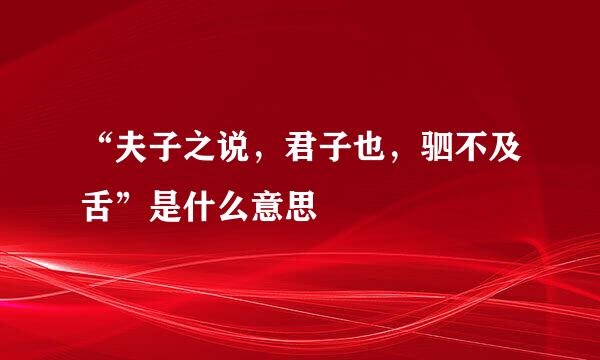 “夫子之说，君子也，驷不及舌”是什么意思