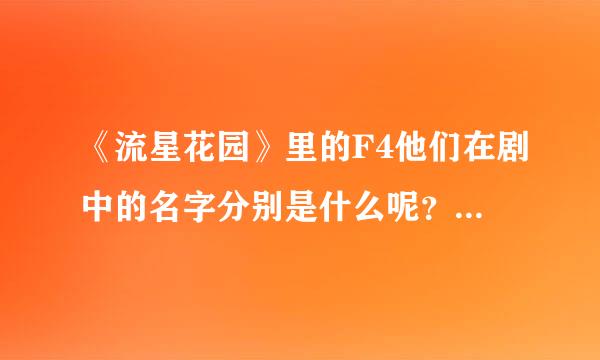 《流星花园》里的F4他们在剧中的名字分别是什么呢？？应该很少人记得吧！