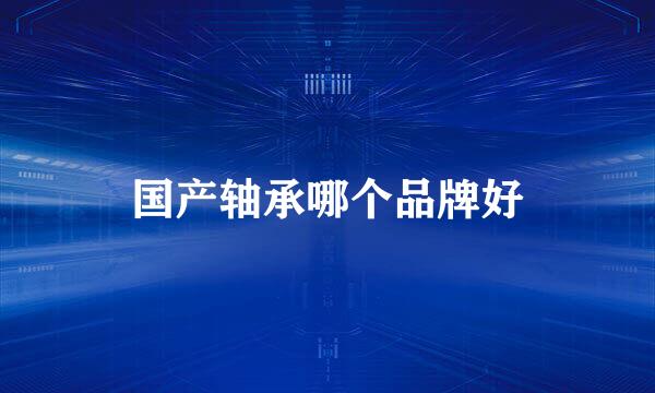 国产轴承哪个品牌好