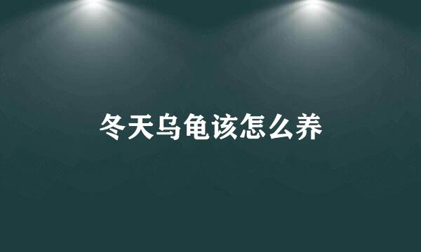 冬天乌龟该怎么养