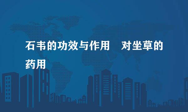 石韦的功效与作用 对坐草的药用