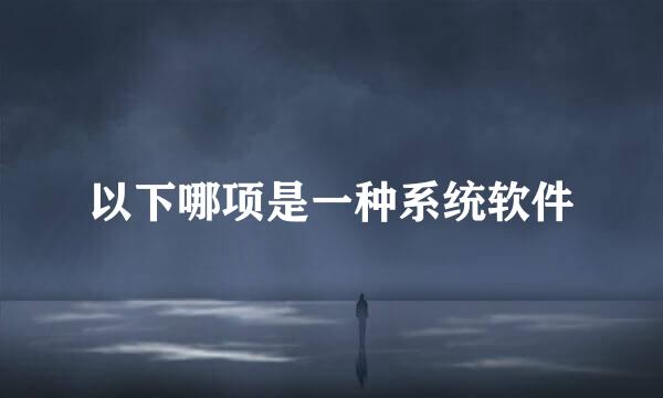 以下哪项是一种系统软件