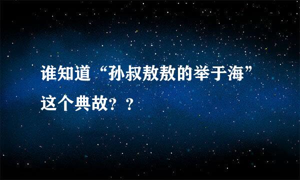 谁知道“孙叔敖敖的举于海”这个典故？？
