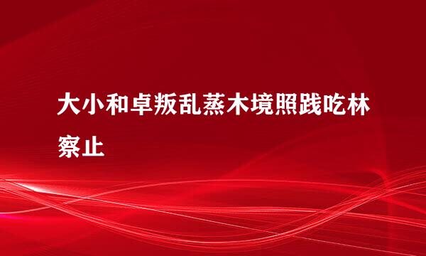 大小和卓叛乱蒸木境照践吃林察止
