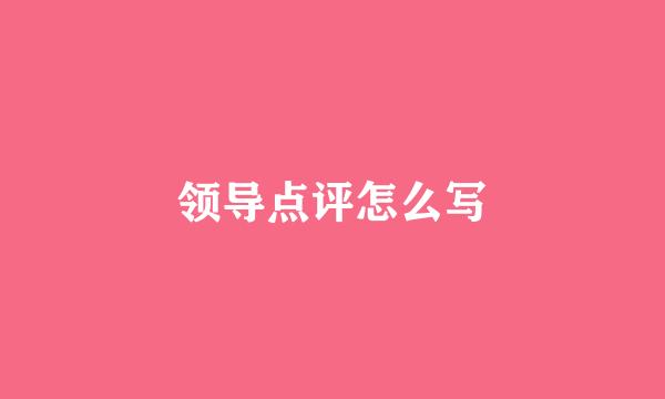 领导点评怎么写