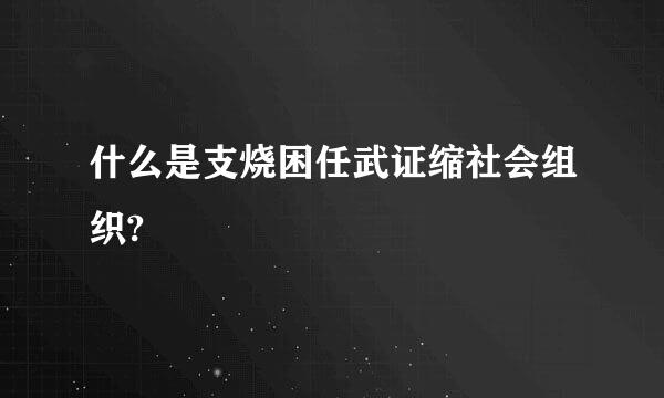 什么是支烧困任武证缩社会组织?