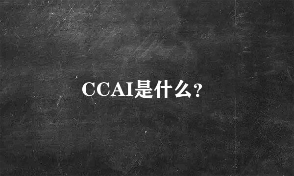CCAI是什么？