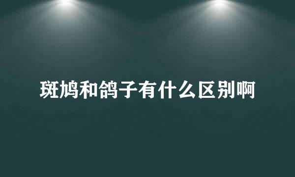 斑鸠和鸽子有什么区别啊