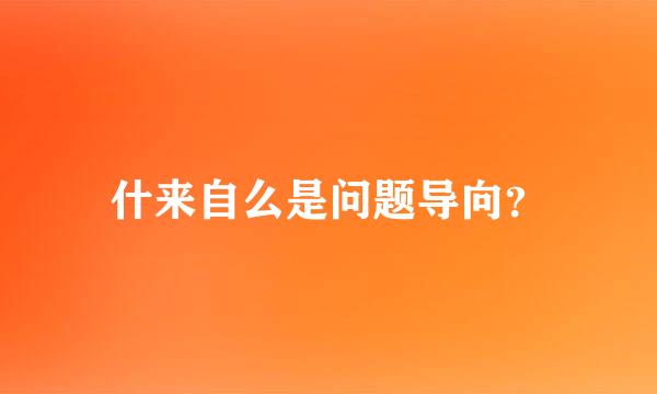 什来自么是问题导向？