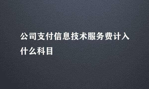 公司支付信息技术服务费计入什么科目