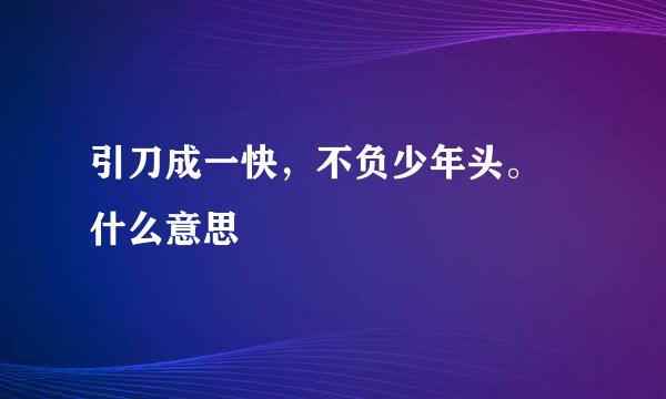 引刀成一快，不负少年头。 什么意思