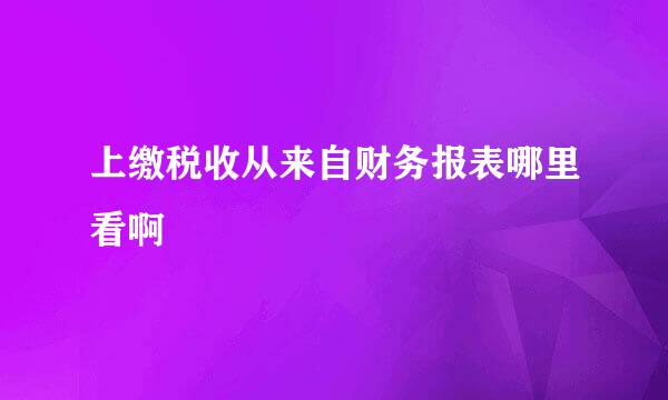 上缴税收从来自财务报表哪里看啊