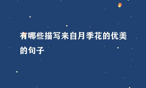 有哪些描写来自月季花的优美的句子