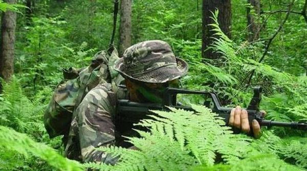 中国龙焱特种部队那么神秘，是真的存在么