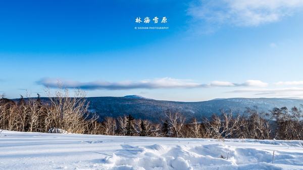 “天王盖地虎,宝塔镇河妖”的下一句是什么？