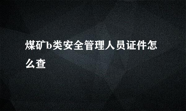 煤矿b类安全管理人员证件怎么查