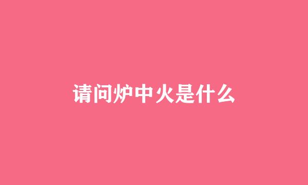 请问炉中火是什么