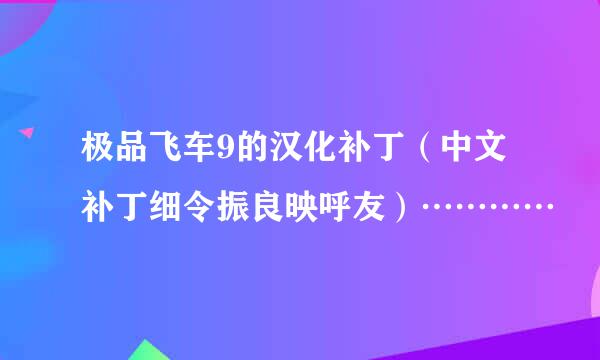极品飞车9的汉化补丁（中文补丁细令振良映呼友）…………