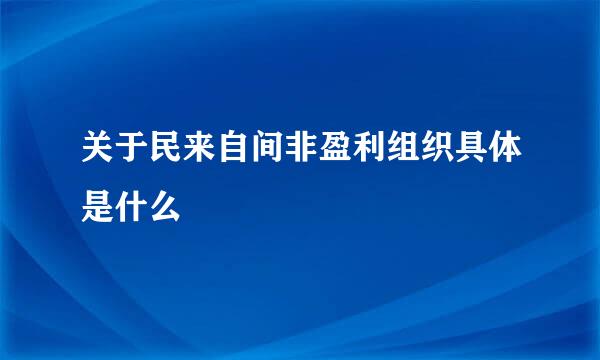 关于民来自间非盈利组织具体是什么