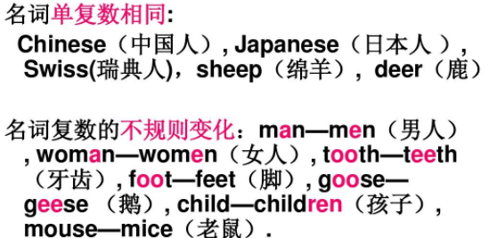 goose的复数形式