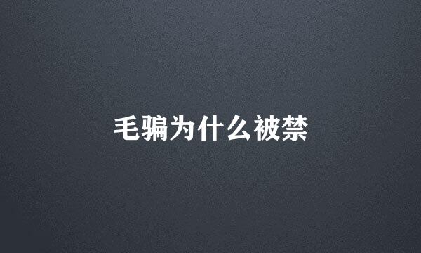 毛骗为什么被禁