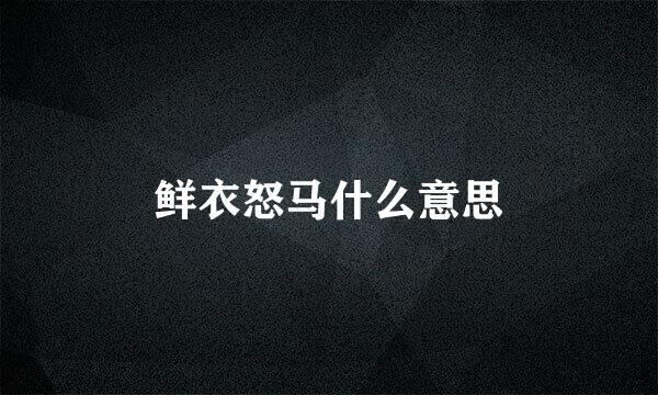 鲜衣怒马什么意思