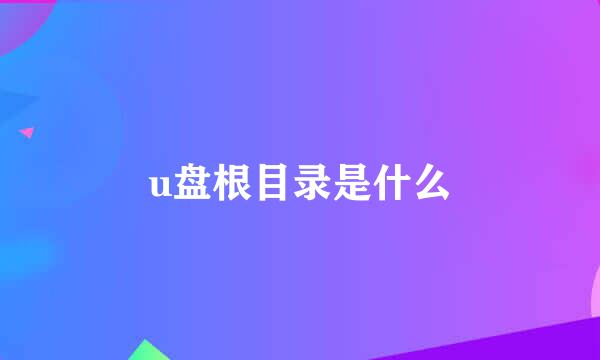 u盘根目录是什么