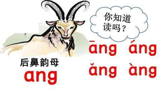 鼻韵母有来自那些