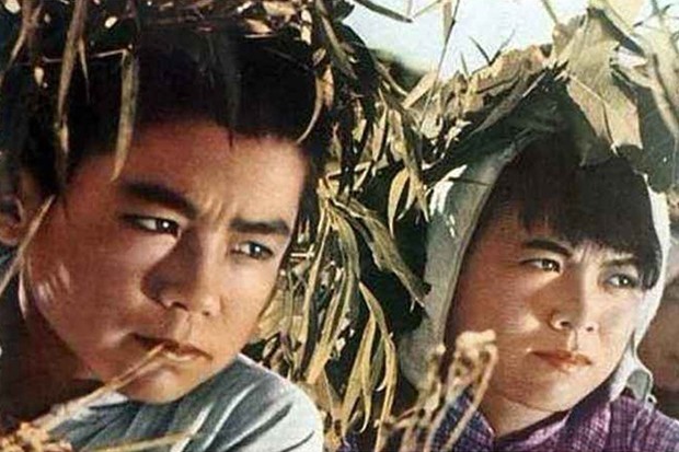 电影《小兵张嗄》堵了人家烟囱时,庄队长严厉地教育他(),八路军是鱼,你是什么鱼