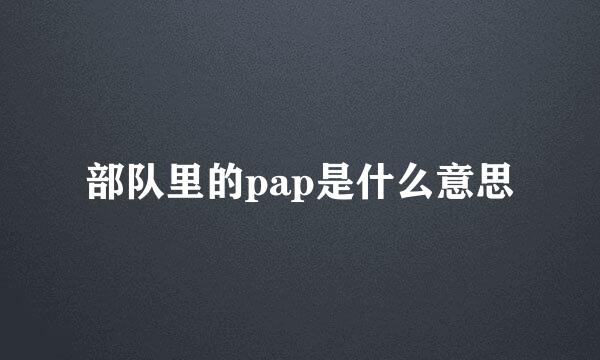 部队里的pap是什么意思