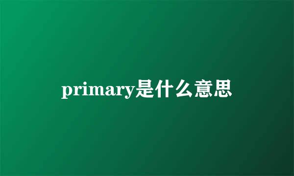 primary是什么意思