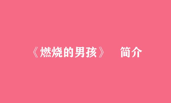 《燃烧的男孩》 简介