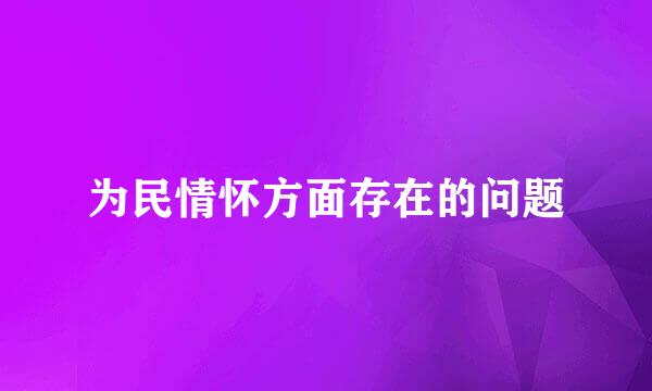 为民情怀方面存在的问题