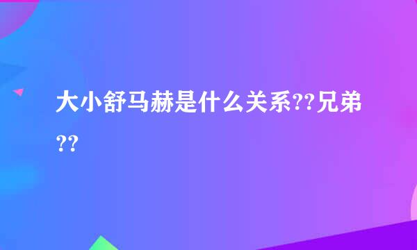 大小舒马赫是什么关系??兄弟??
