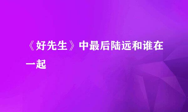 《好先生》中最后陆远和谁在一起