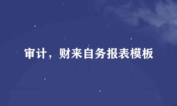 审计，财来自务报表模板