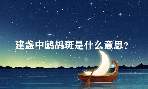 建盏中鹧鸪斑是什么意思？