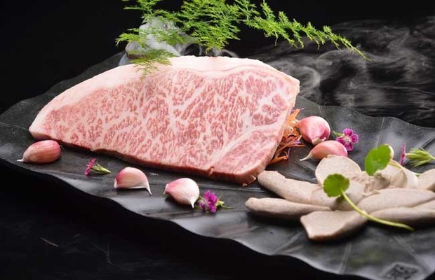 雪花牛肉是牛的哪个部位？