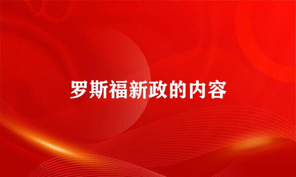 罗斯福新政的内容