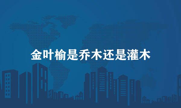 金叶榆是乔木还是灌木